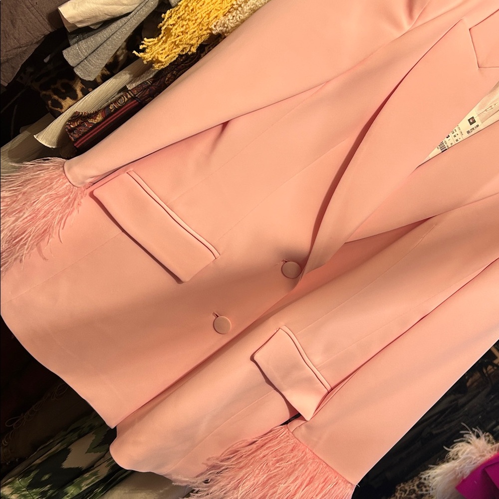 Zara Pink NWT Feather Blazer